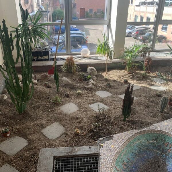Foto vom Projekt Wüstengarten