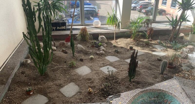 Foto vom Projekt Wüstengarten