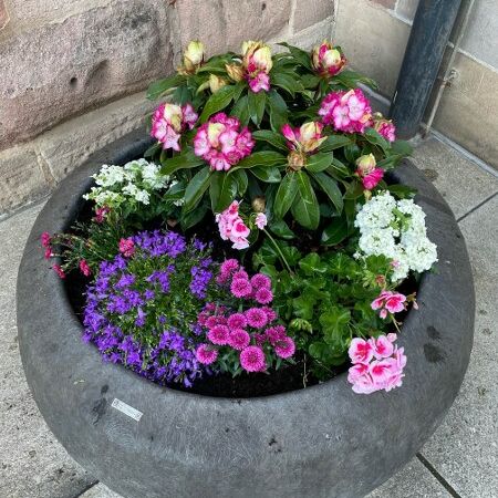 Foto des neu gestalteten Innenhofs am Willstätter Gymnasium