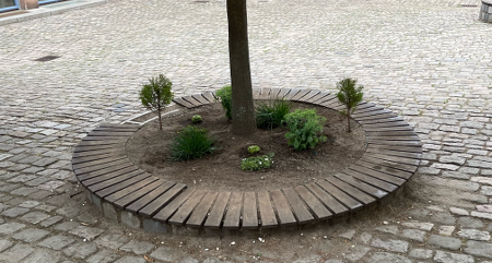 Foto der neu gestalteten Baumscheiben