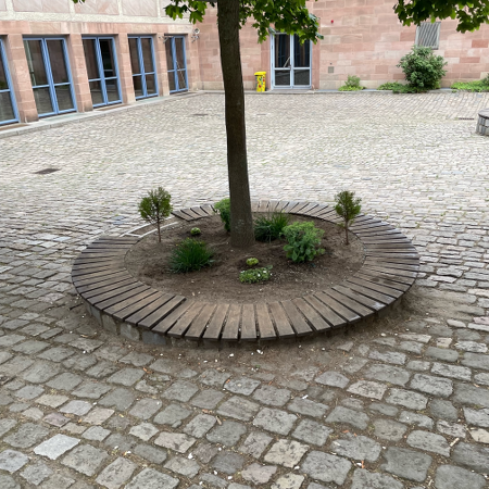 Foto der neu gestalteten Baumscheiben