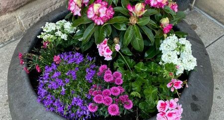 Foto des neu gestalteten Innenhofs am Willstätter Gymnasium