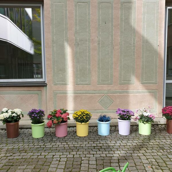 Bild vom Schulgartenprojekt Willstätter Gymnasium