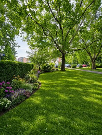 Mit KI entstand eine sehr schöne grüne Ansicht eines Parks mit vielen Blumen