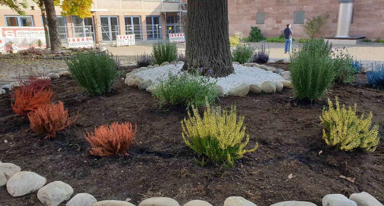 Bild vom Schulgartenprojekt Willstätter Gymnasium
