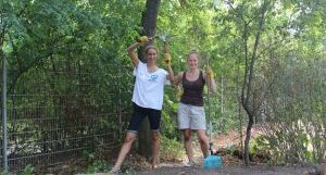 Foto Grillplatz Langwasser