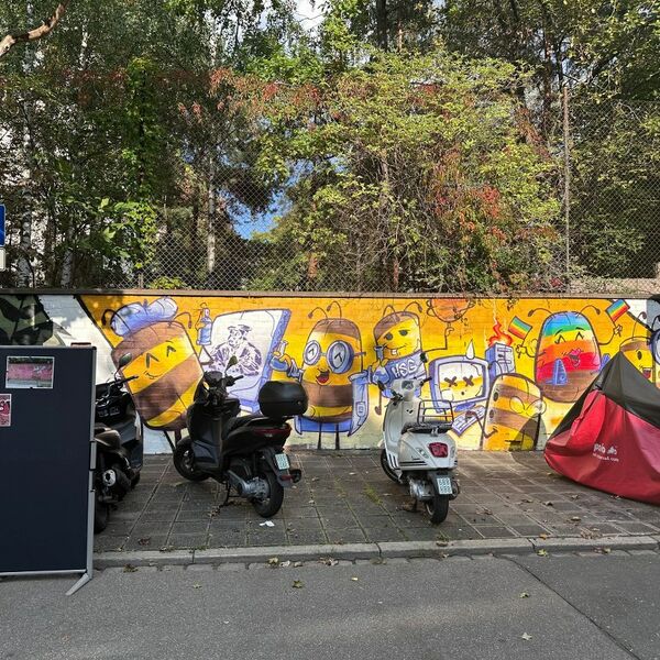 Abgeschlossenes Anliegen 2025 Graffiti in Maxfeld