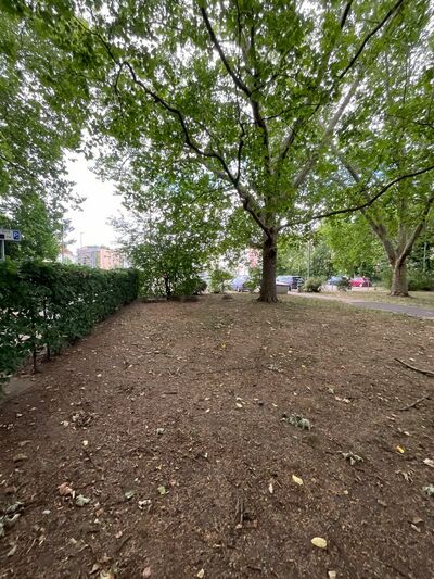 Ein langweilig aussehender Teil eines Parks